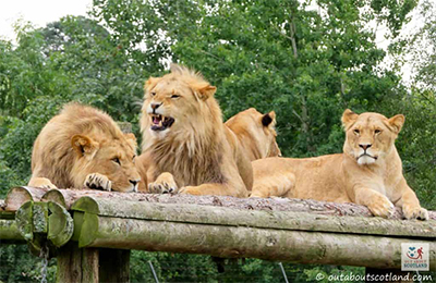 Killin and Local Walks