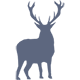 stag