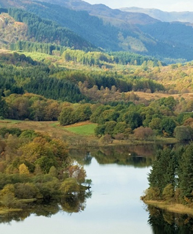 Queen Elizabeth Forest Park