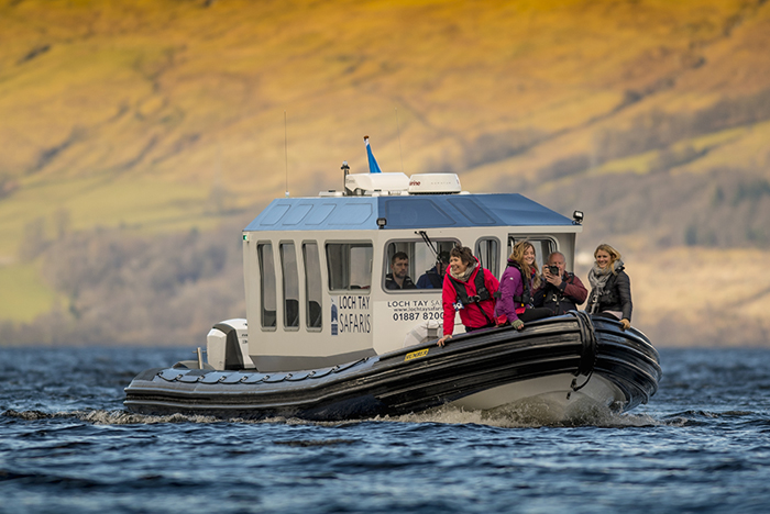 Loch Tay Safaris